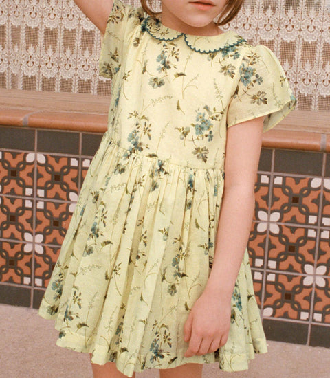DUA DRESS -- SUNSHINE PRAIRIE ROSE