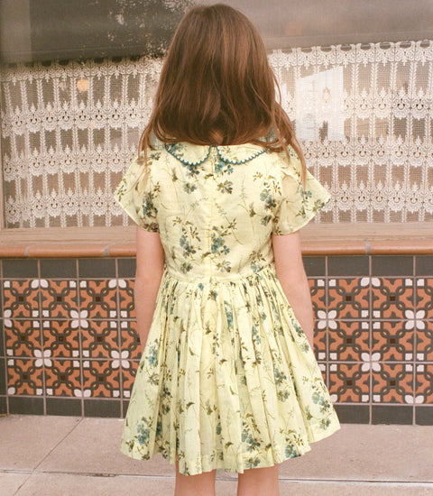 DUA DRESS -- SUNSHINE PRAIRIE ROSE